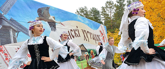 Ежегодно с 2010 года в п.Глуша проходит фестиваль народных промыслов и ремесел «Глушанскі хутарок».