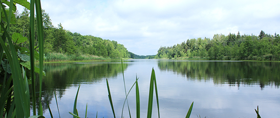 Ландшафтный заказник местного значения – «Дубовский каскад озер». Уникальный по эстетической и природной ценности объект. Площадь 191 га. Охранный режим введен в 1994 г.