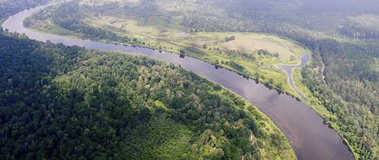 Река Березина с высоты птичьего полета