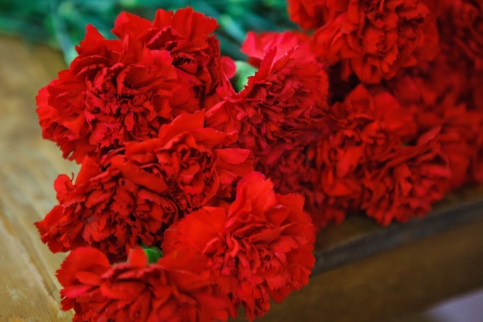 Поздравление от руководства Бобруйского района с Днем Октябрьской революции!