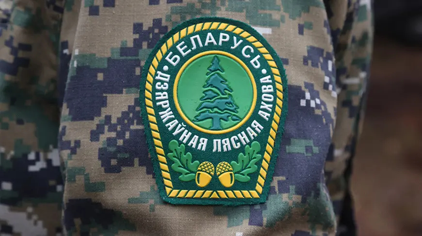 Рассказываем, когда лесная охрана перейдет на усиленный режим работы