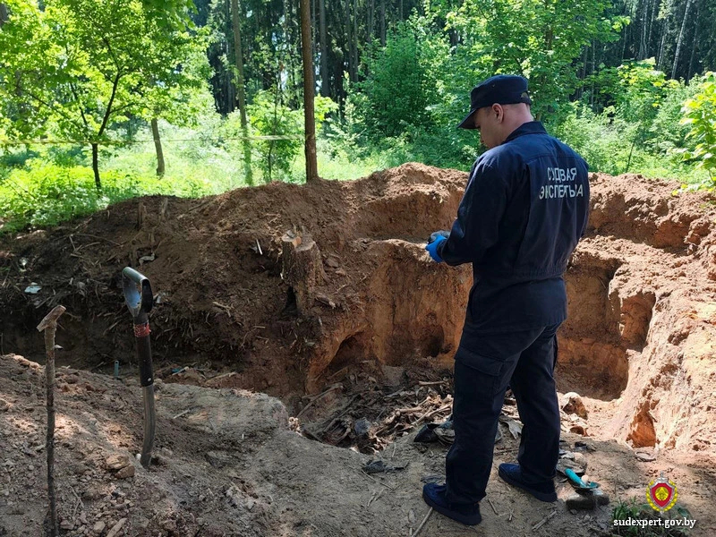 Новые ямы-захоронения времен Великой Отечественной войны в казимировском лесу в Могилеве class=