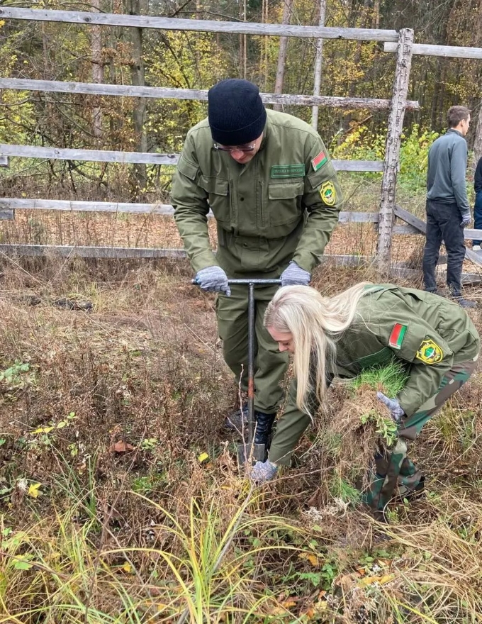 «Дай лесу новае жыццё». Республиканская акция продолжается