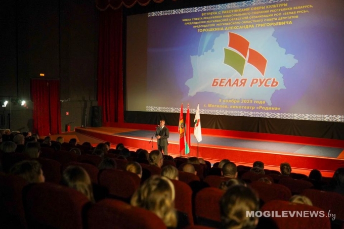 Александр Горошкин встретился с работниками сферы культуры. Фото