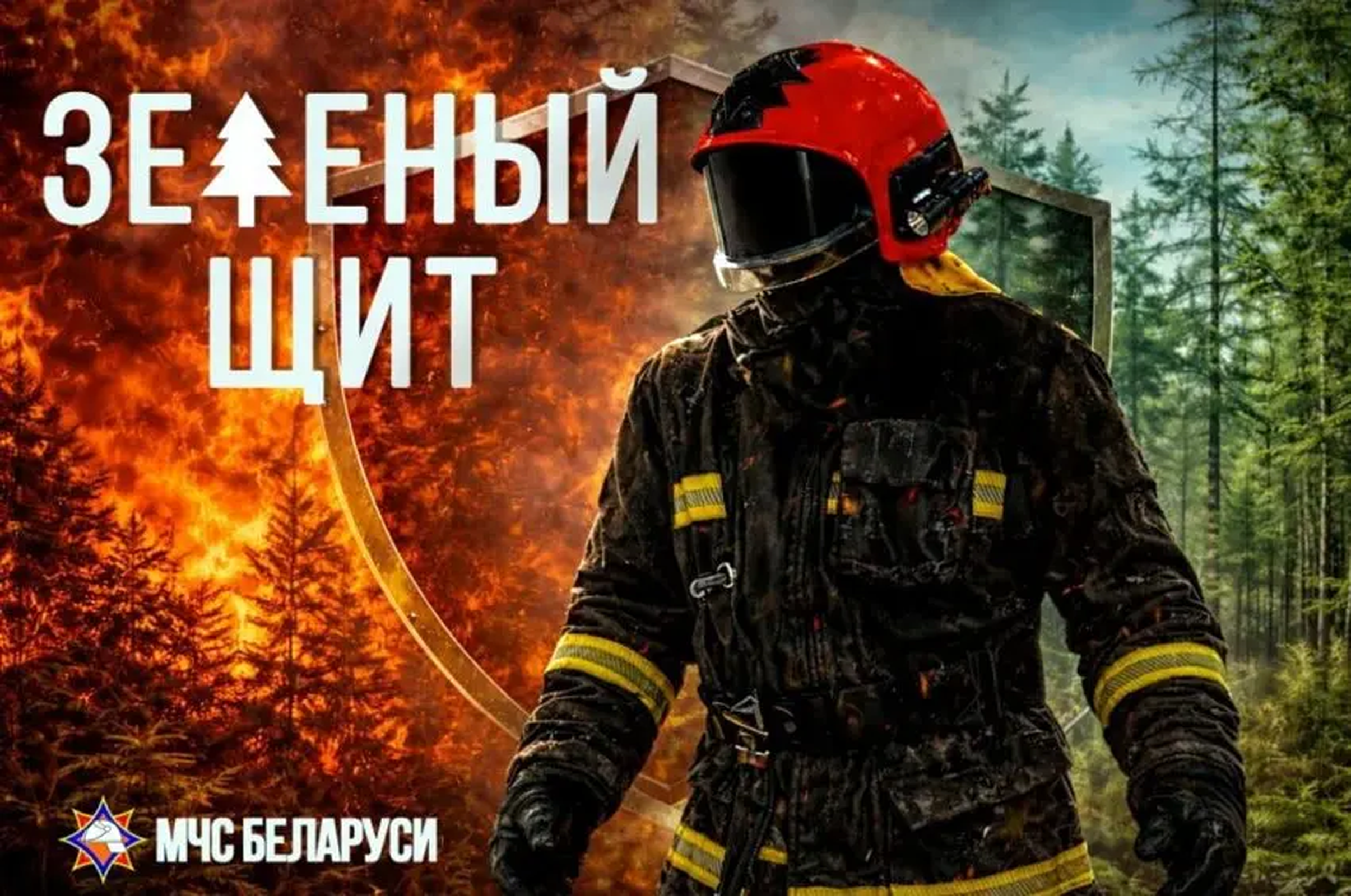 «Зеленый щит». На территории Бобруйского района спасатели проводят специальное профилактическое мероприятие