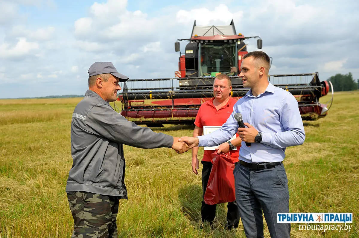В копилке — еще 1000 тонн. На помощь хлеборобам Бобруйского района пришли горожане