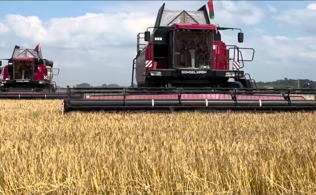 Ад "Зажынак" да "Дажынак"