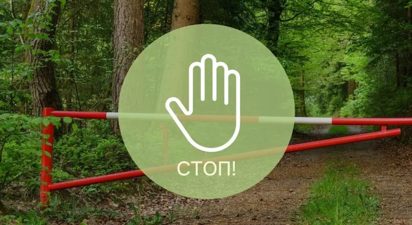 В Бобруйском районе с 2 мая действует ограничение на посещение леса class=