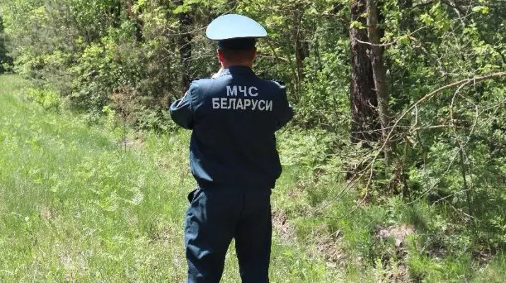 Как помочь себе выйти из леса, рассказали бобруйские спасатели