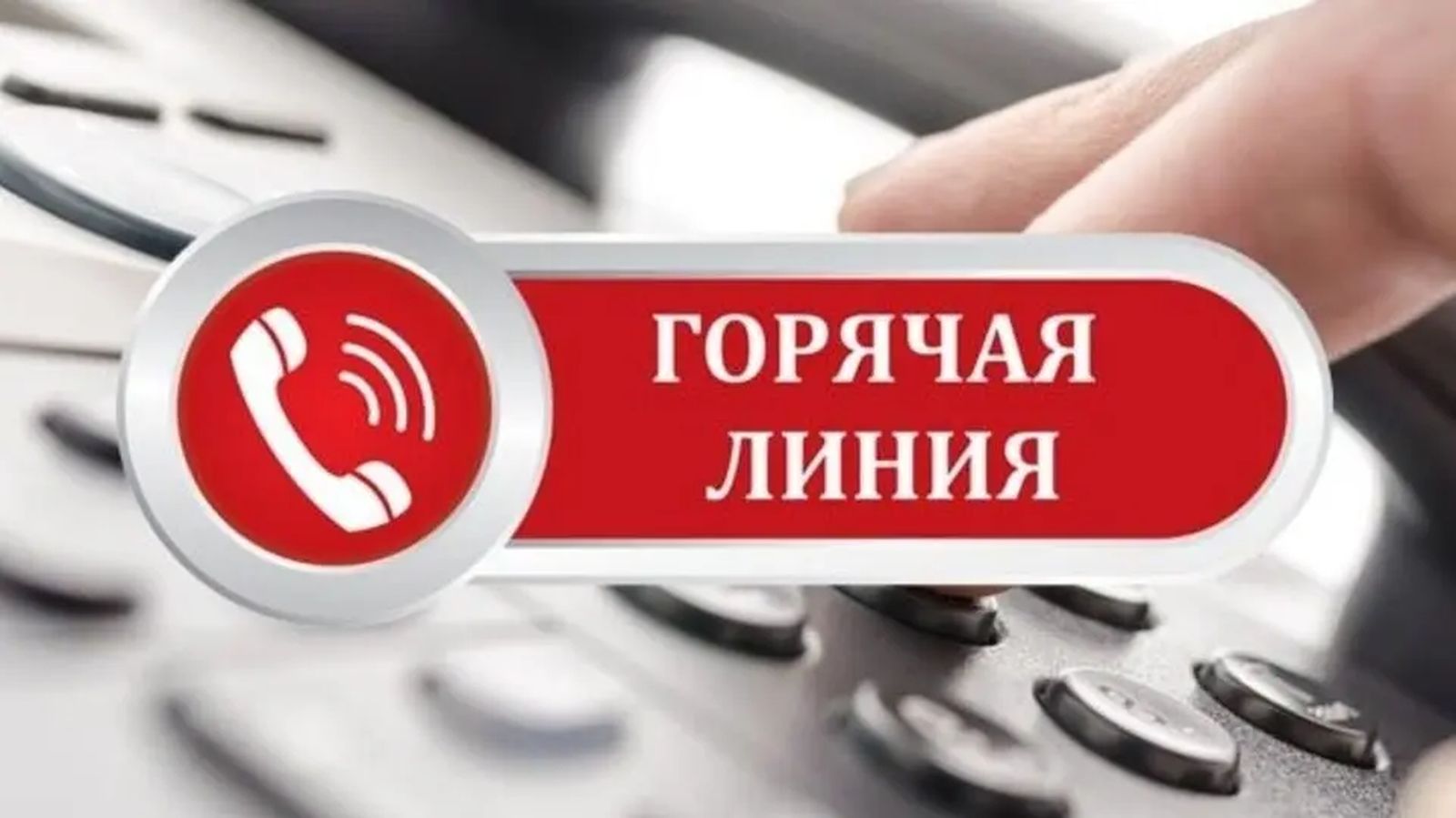 В КГК Могилевской области 17 августа пройдет горячая линия по вопросам детских товаров