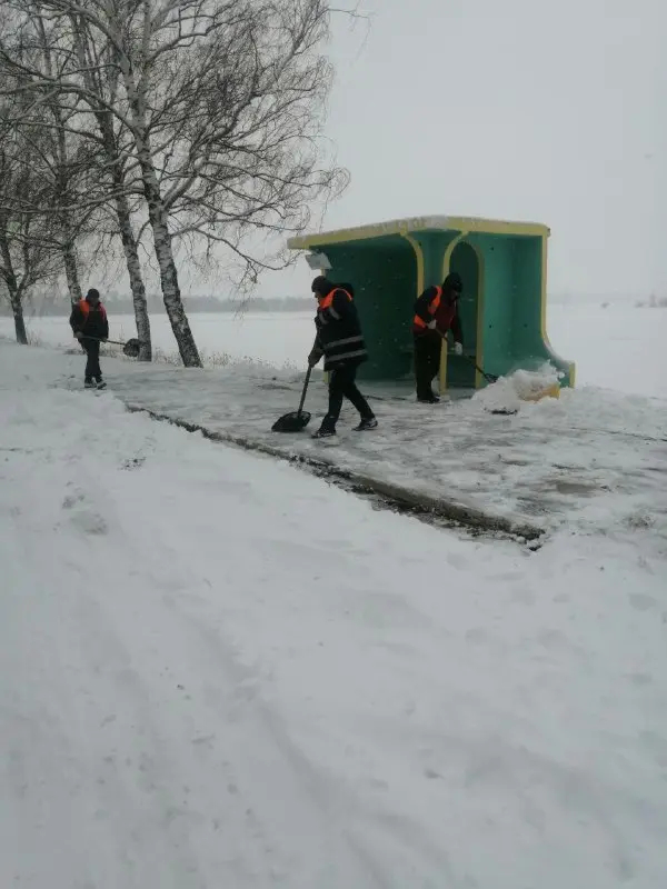 Усмирить снежную стихию