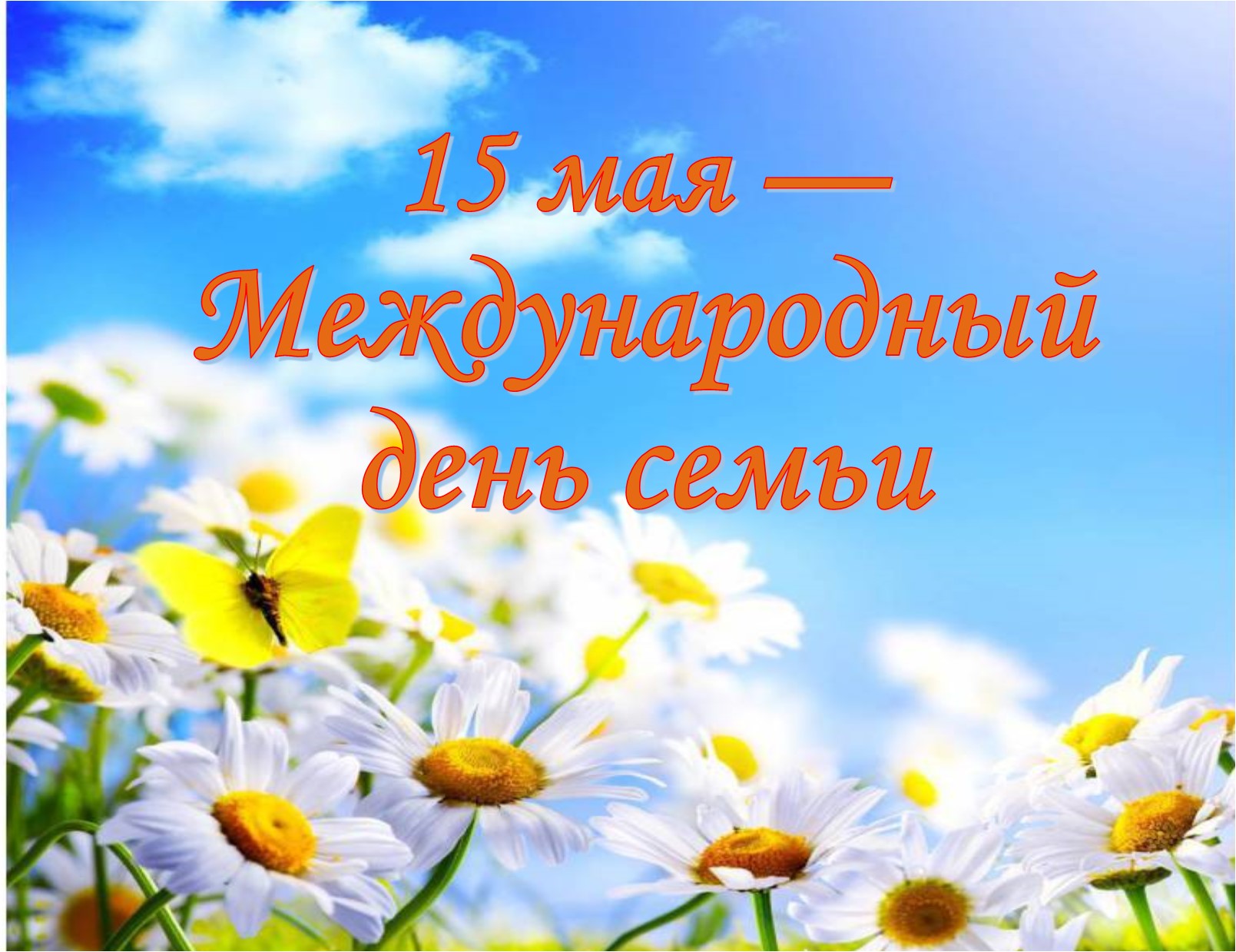 Поздравление от руководства Бобруйского района  с Днем семьи!