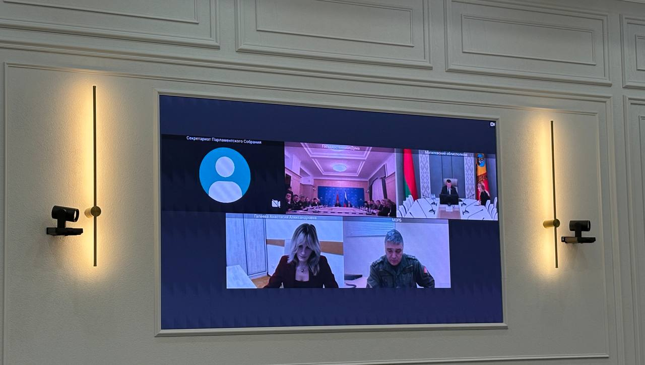 Сохранение и защита исторической памяти. Подробности видео-конференции в Могилеве