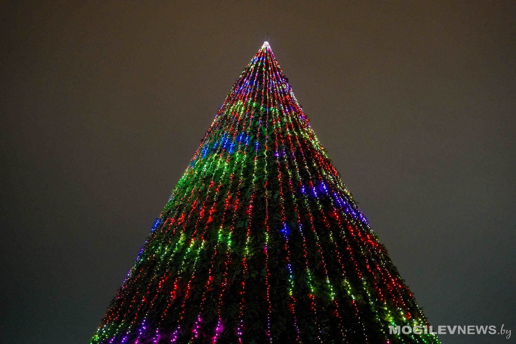 Масштабная программа, современные тренды, тысячи пикселей и море радости. В Могилеве зажгли огни на главной елке региона