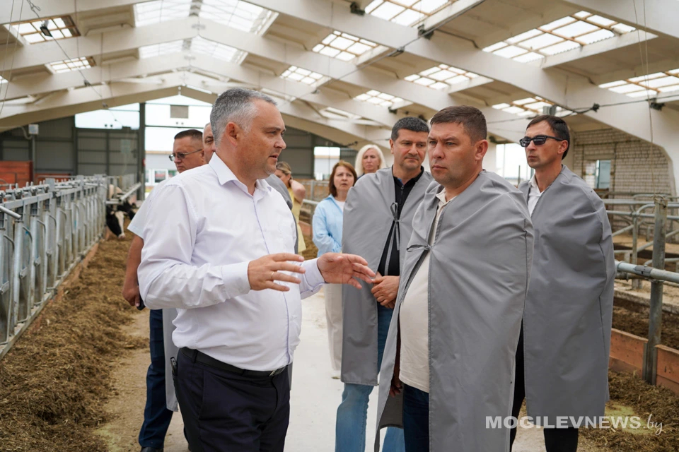 Приморский край присматривается к белорусским технологиям: делегация посетила сельхозобъекты Могилевщины. Фото class=
