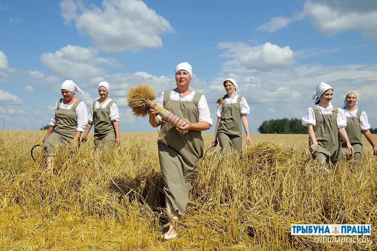 Больше, чем просто традиция! В Бобруйском районе прошел обряд «Зажинки»